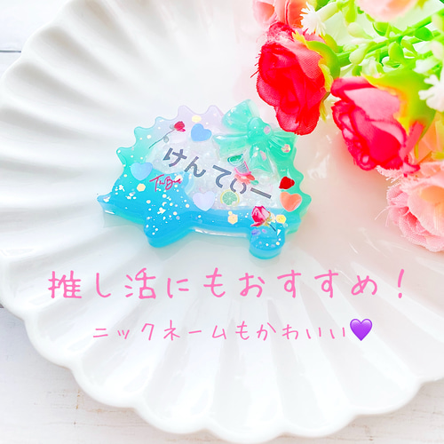 セミオーダー】型から選べる☆シェイカーレジンキーホルダー 名