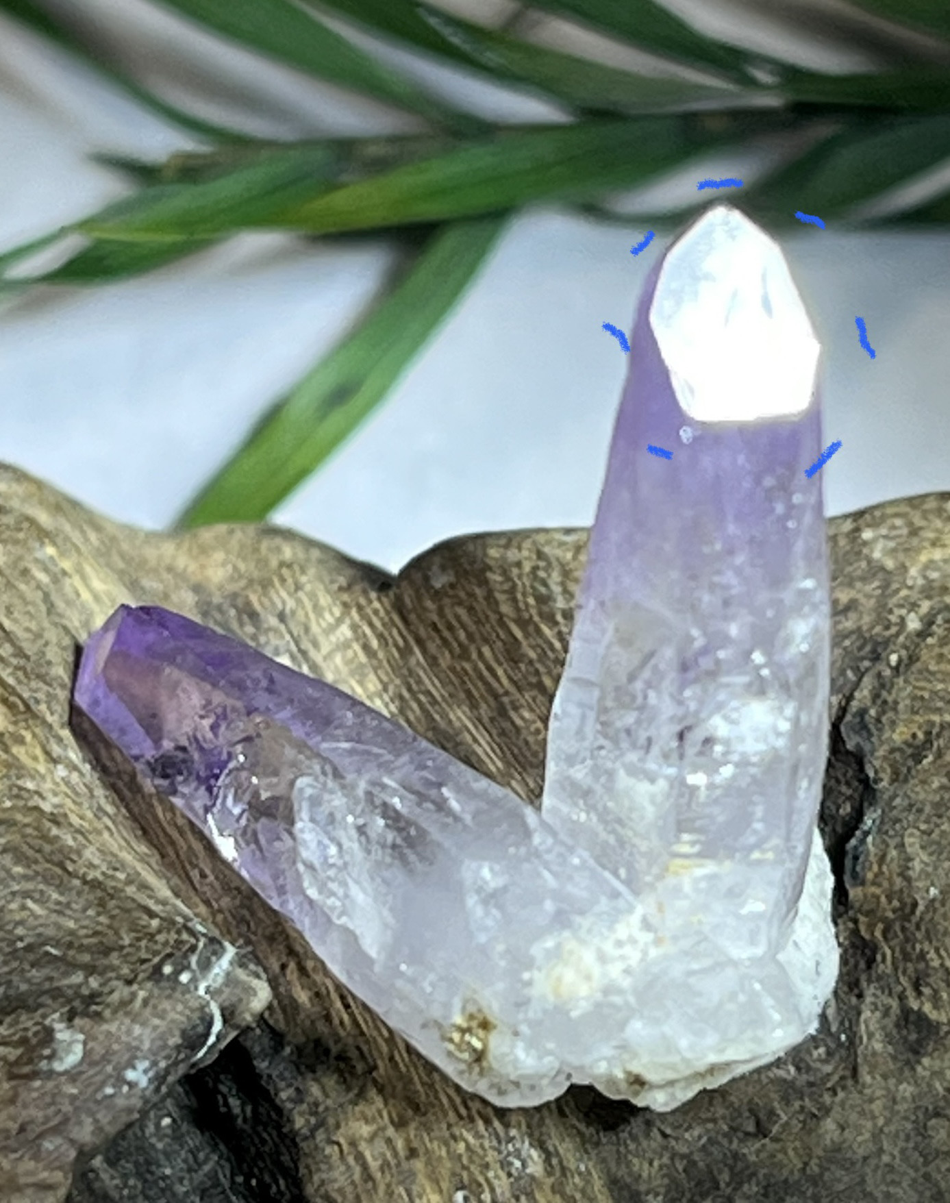 チャネリン.グ໒꒱女神が宿る紫水晶✨ベラクルス アメジスト　ポイント　原石