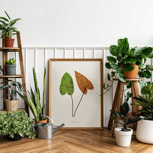 光触媒 人工観葉植物 ウォールグリーン フェイクグリーン