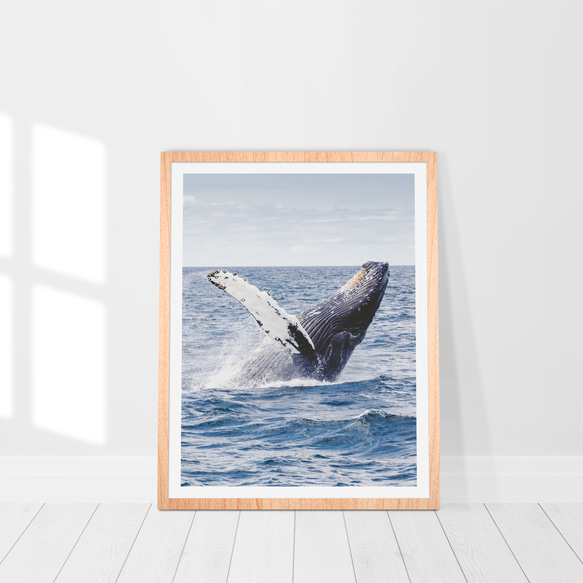 ゴージャス 自然 クジラ ジャンプ Whale / インテリアポスター 海外アート /4608 7枚目の画像