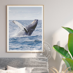 ゴージャス 自然 クジラ ジャンプ Whale / インテリアポスター 海外アート /4608 1枚目の画像