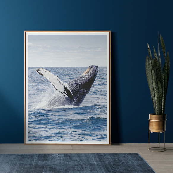 ゴージャス 自然 クジラ ジャンプ Whale / インテリアポスター 海外アート /4608 6枚目の画像