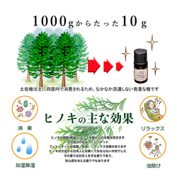 reliqua odore 名前入り メッセージ入れ 土佐ひのき アロマディッシュ ヒノキ精油5mlセット 焼印柴犬 7枚目の画像