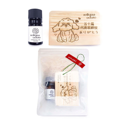  第19張的照片