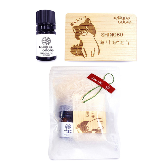  第17張的照片