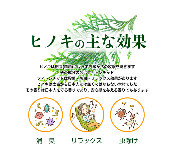  第7張的照片