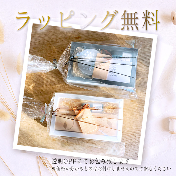  第12張的照片