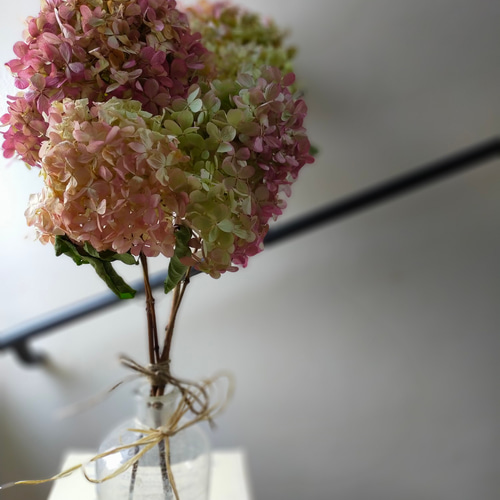 秋色紫陽花のドライフラワー 4本セット | karai fleuriste WEB SHOP