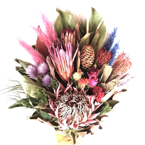 ネイティブドライフラワー ドライフラワースワッグ キングプロテア