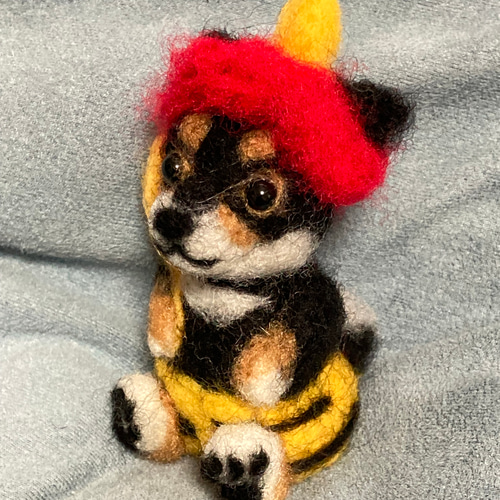 オーダー見本 黒柴犬 柴犬 羊毛フェルト黒柴犬 節分飾り 羊毛
