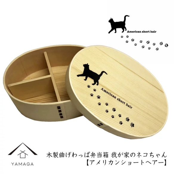 猫の日2025】 天然木製 曲げわっぱ弁当箱 【 アメリカンショートヘアー 