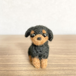 ダックスフンド 羊毛フェルト 羊毛フェルト モカ＆ラテ 通販 15249137