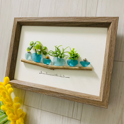 シーグラスアート 癒し 海の宝石 ガラス細工 インテリア雑貨 北欧 観葉植物 贈り物 誕生日プレゼント 壁飾り 置物 2枚目の画像