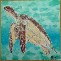 亀（カメ） 絵画 のおすすめ人気通販｜Creema(クリーマ) 国内最大の