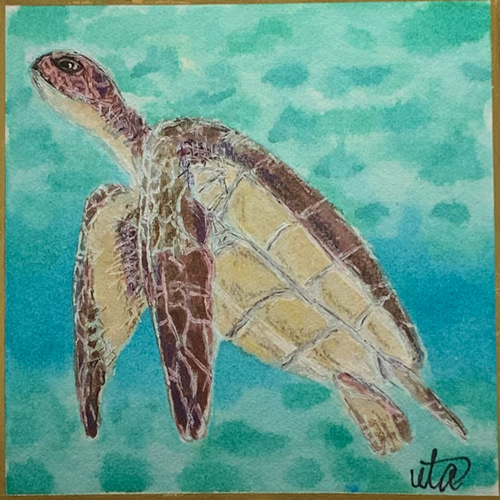 絵画　油絵　原画　動物　亀　アート　インテリア　F4 絵画 油絵 原画 動物 亀 アート インテリア F4 絵画