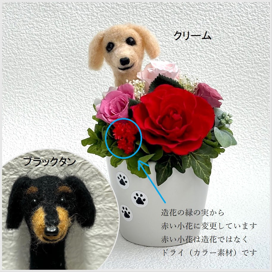 ちょこんと顔出す　ダックスフンド（左側）＆　プリザーブドフラワー（赤　ピンク色系）　/　羊毛フェルト　ダックス　犬