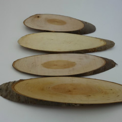 自然素材エコクラフト　小枝　　no,５５０Ｐ　 　広葉樹のプレート　４枚セット　数量限定品　　 7枚目の画像