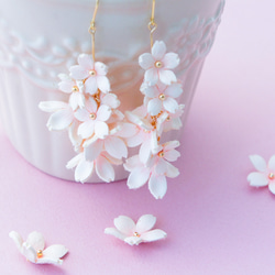 満開の桜の花束　イヤリング(ピアス) 1枚目の画像