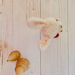 木の実を持った、うさぎのゆきちゃん 8枚目の画像