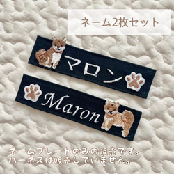犬服 ラグラン(M) ꒡̈⃝Lily꒡̈⃝ハンドメイド 在庫処分品