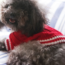 犬服 可愛い ペットウェア 犬ウェア セーター 蝶結びつき 暖かい 赤と青選択可能 4枚目の画像