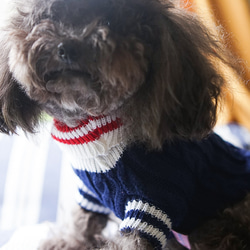 犬服 可愛い ペットウェア 犬ウェア セーター 蝶結びつき 暖かい 赤と青選択可能 5枚目の画像