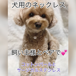 犬用（ペット用）　一粒　コットンパールとステンレスのネックレス　飼い主様とお揃いで♥　肌にやさしい　オーダーメイド　 1枚目の画像