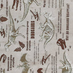 給食袋&ナフキン　給食セット　恐竜図鑑 3枚目の画像