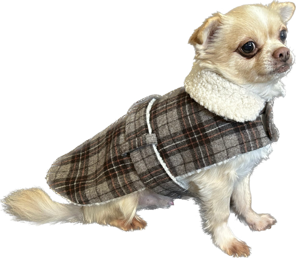 犬服　イングランドチェック　コート 1枚目の画像