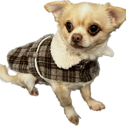 犬服　イングランドチェック　コート 2枚目の画像