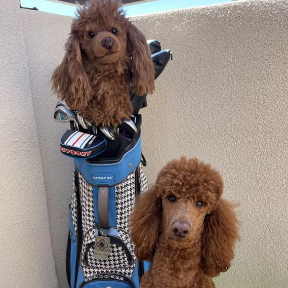 犬 猫 ペットそっくりな動物ゴルフのヘッドカバー オーダーメイド 