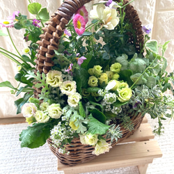 [母の日にプレゼント] 花かごにかわいい寄せ植え　プランツギャザリング 5枚目の画像