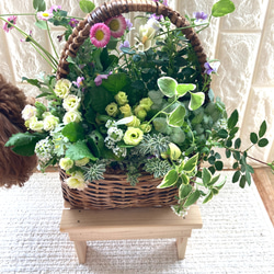 [母の日にプレゼント] 花かごにかわいい寄せ植え　プランツギャザリング 3枚目の画像