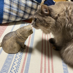 【オーダーメイド】ニャンコモニュメント愛猫オリジナル 世界に一つ 15枚目の画像