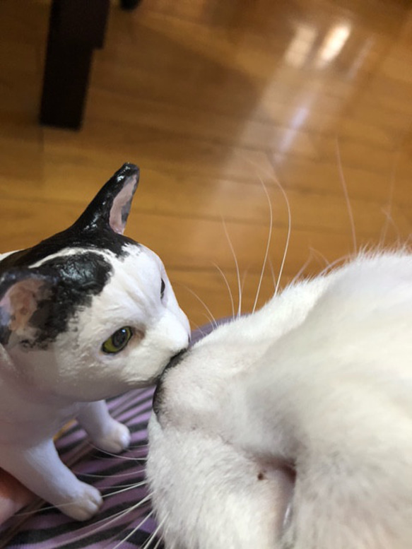 【オーダーメイド】ニャンコモニュメント愛猫オリジナル 世界に一つ 14枚目の画像