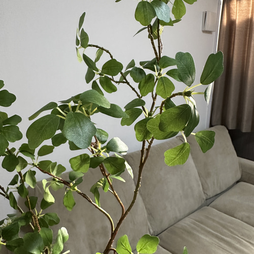 送料込み] ドウダンツツジ N8フェイクグリーン 2本 110cm 枝 アート