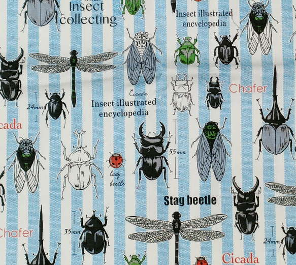 昆虫柄 42×42正方形ランチクロス＆給食袋のセット【ストライプ】【小学校給食用】 3枚目の画像