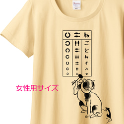 歌川国芳 ねこの視力検査Tシャツ　6色展開　女性用サイズ 1枚目の画像