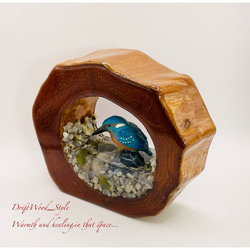 一つ限りの流木アート カワセミ ジオラマ 流木 フィギュア 置物 鳥 インテリア レジン テラリウム 水辺 N8 4枚目の画像