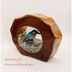 一つ限りの流木アート カワセミ ジオラマ 流木 フィギュア 置物 鳥 インテリア レジン テラリウム 水辺 N8 7枚目の画像