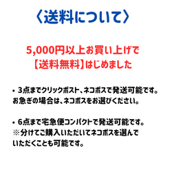 《名入れ》巾着袋　給食袋　カトラリー入れ　通園通学　K-004 9枚目の画像