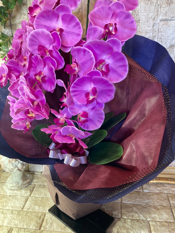 光触媒　人工観葉植物　ウォールグリーン　フェイク　フラワー　胡蝶蘭8250 4枚目の画像