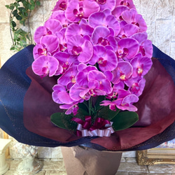 光触媒　人工観葉植物　ウォールグリーン　フェイク　フラワー　胡蝶蘭8250 3枚目の画像