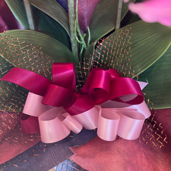 光触媒　人工観葉植物　ウォールグリーン　フェイク　フラワー　胡蝶蘭8250 6枚目の画像