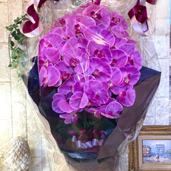 光触媒　人工観葉植物　ウォールグリーン　フェイク　フラワー　胡蝶蘭8250 9枚目の画像