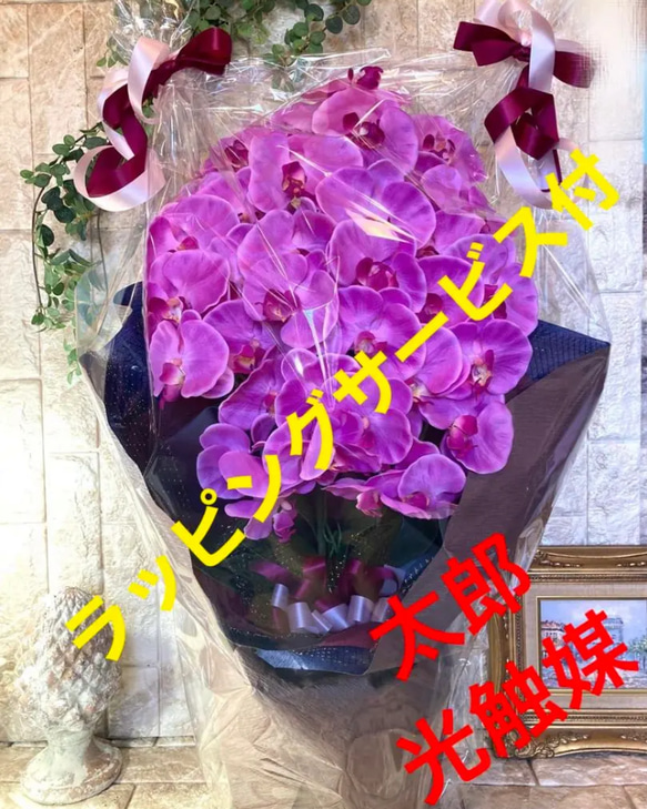 光触媒　人工観葉植物　ウォールグリーン　フェイク　フラワー　胡蝶蘭8250 1枚目の画像