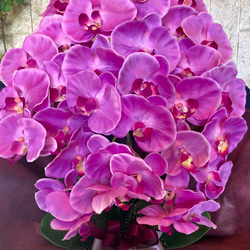 光触媒　人工観葉植物　ウォールグリーン　フェイク　フラワー　胡蝶蘭8250 7枚目の画像