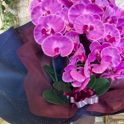 光触媒　人工観葉植物　ウォールグリーン　フェイク　フラワー　胡蝶蘭8250 5枚目の画像