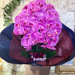 光触媒　人工観葉植物　ウォールグリーン　フェイク　フラワー　胡蝶蘭8250 8枚目の画像