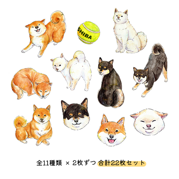 【22枚セット】柴犬さんたちのフレークシール 全11種類 2枚目の画像